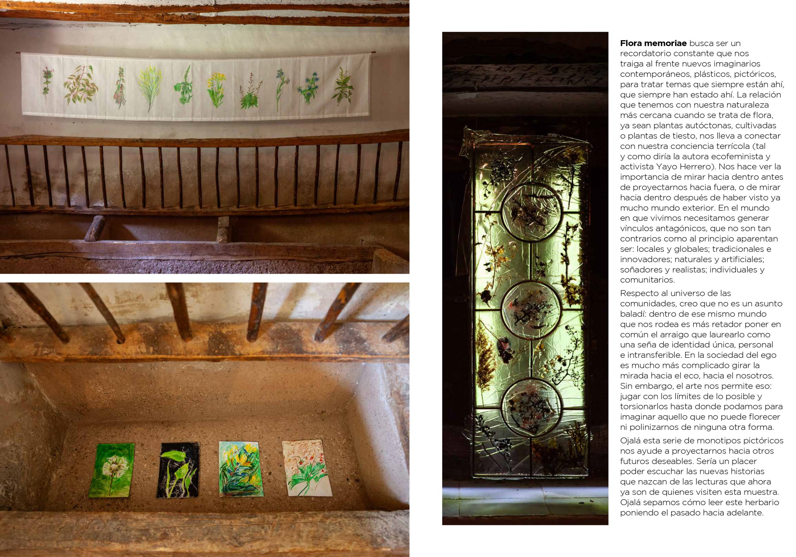 CUADERNO-VACA-9-FLORA-MEMORIAE-2-8