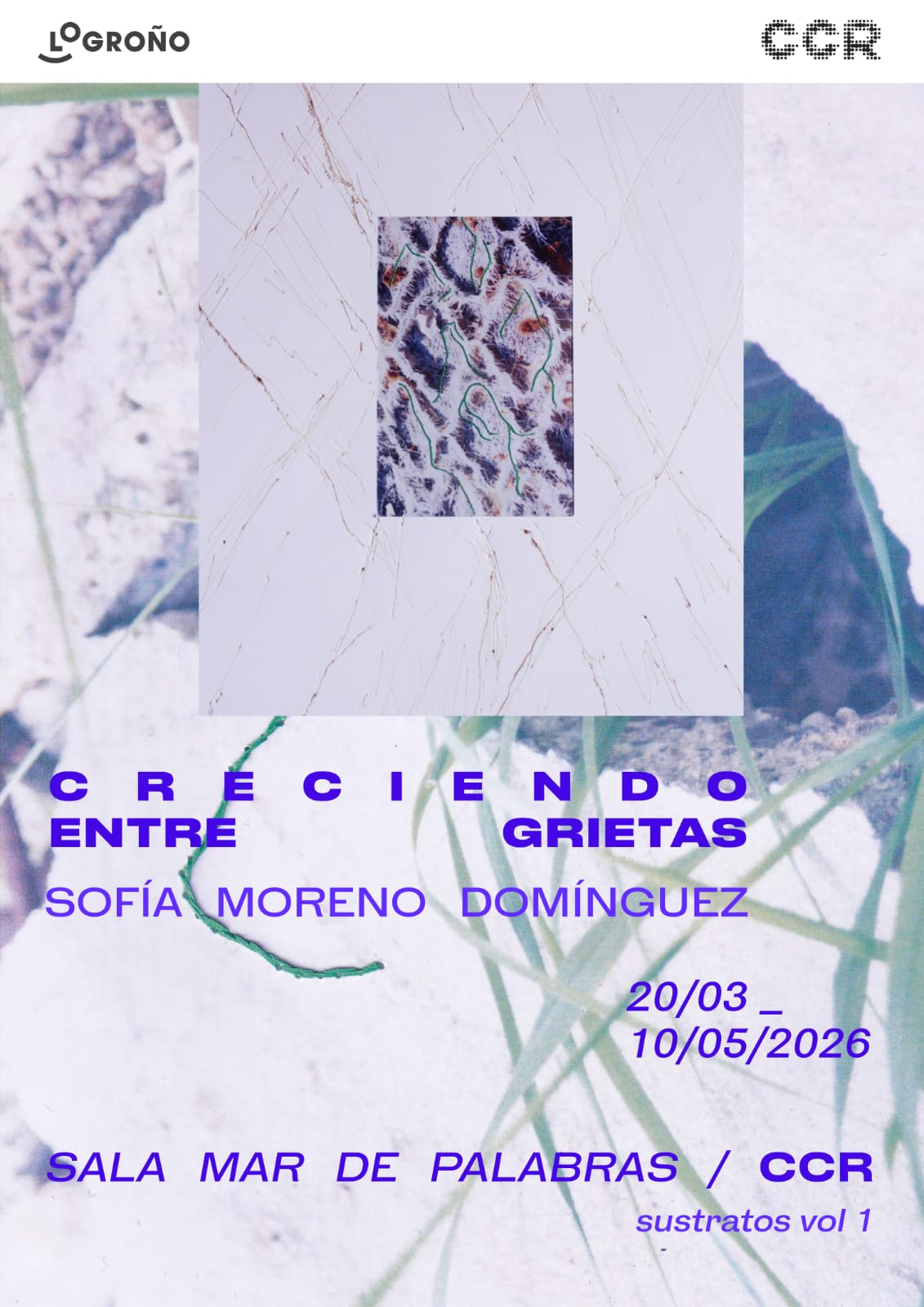 CRECIENDO ENTRE GRIETAS_ Sustratos / CCR