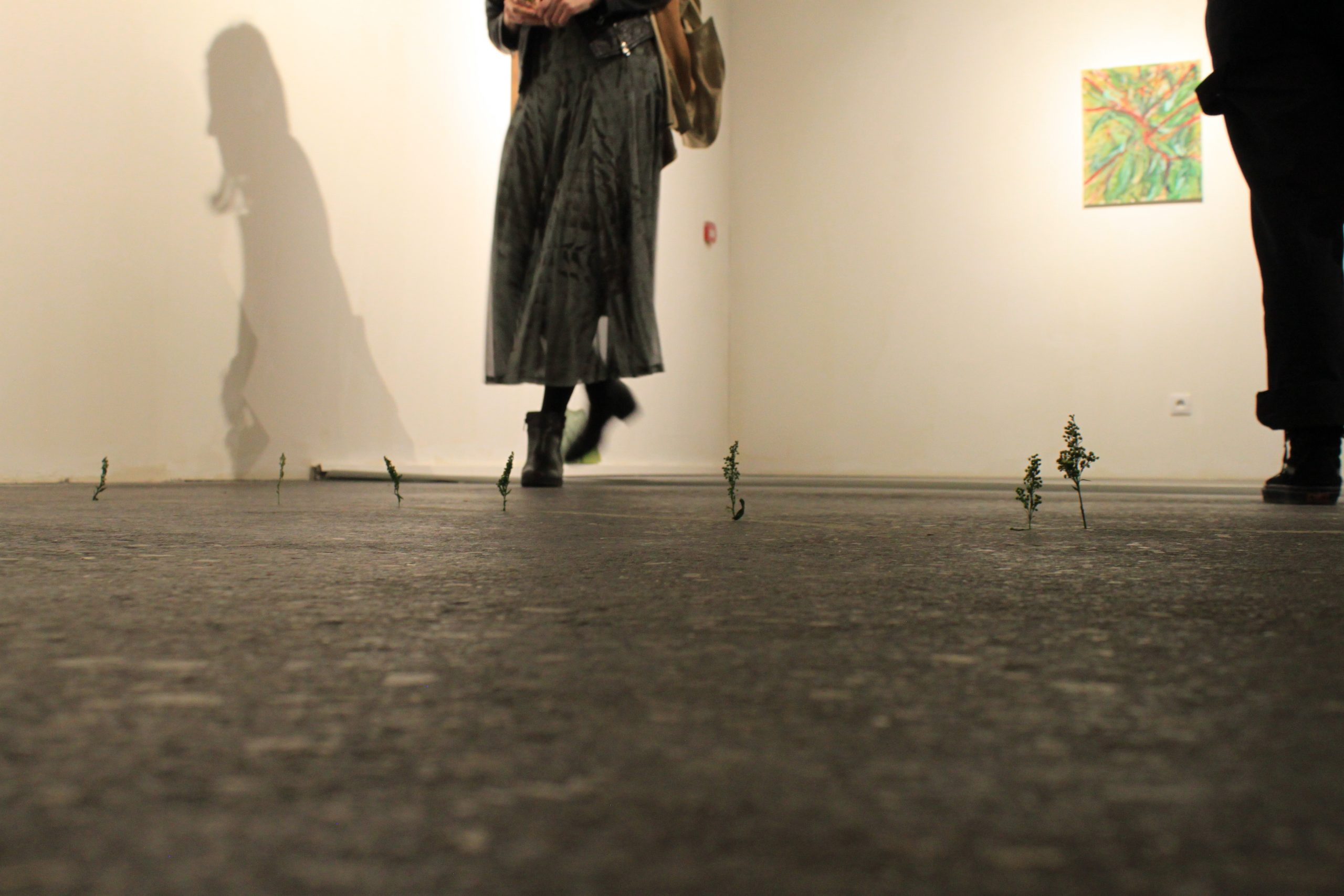 accion – inauguracion creciendo – sofia moreno (35)