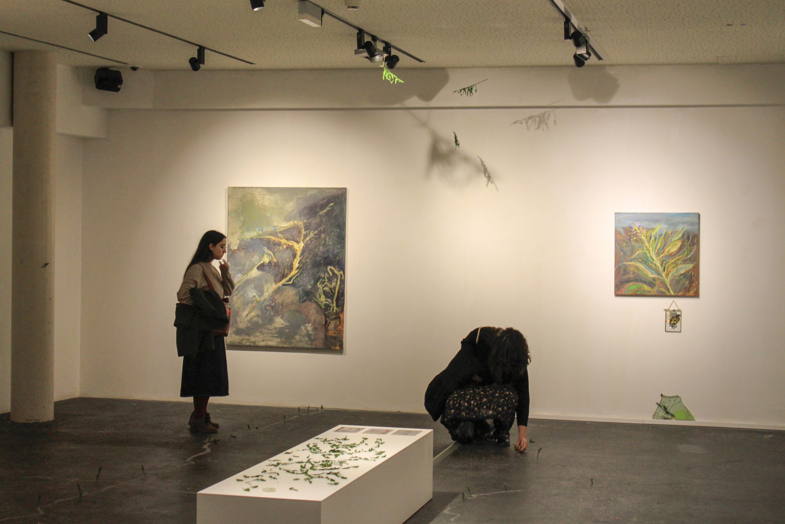 accion – inauguracion creciendo – sofia moreno (72)