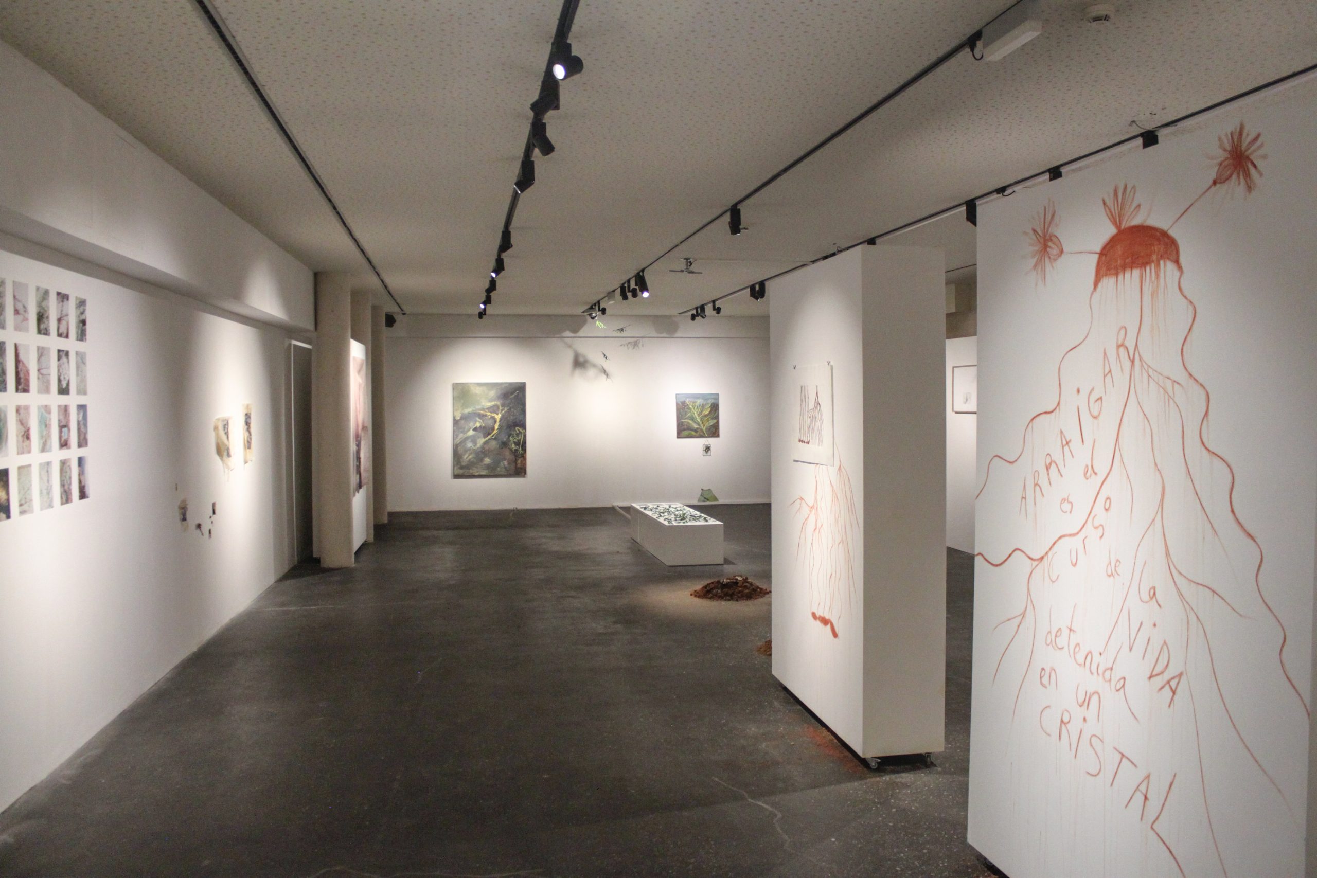 sofia moreno dominguez – creciendo entre grietas – ccr (19)