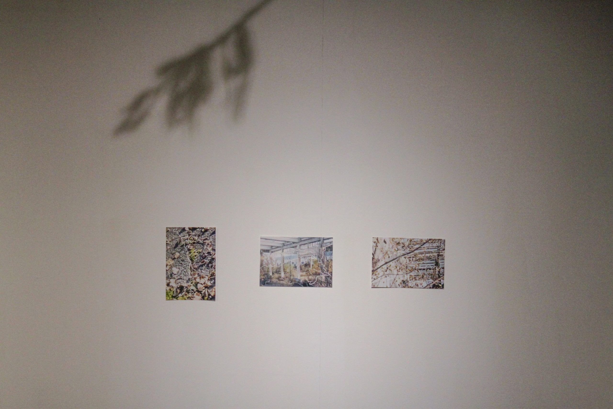 sofia moreno dominguez – creciendo entre grietas – ccr (22)