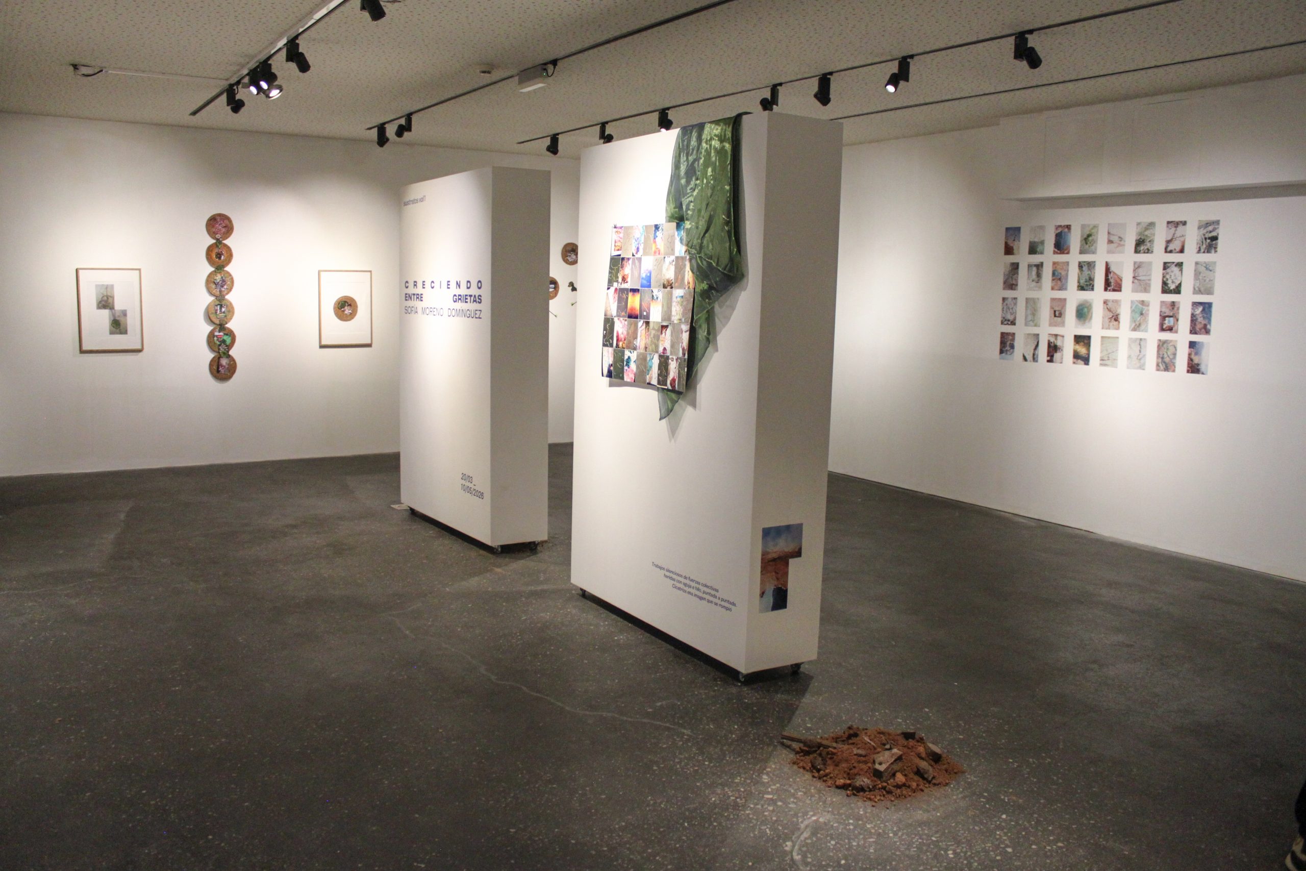sofia moreno dominguez – creciendo entre grietas – ccr (34)