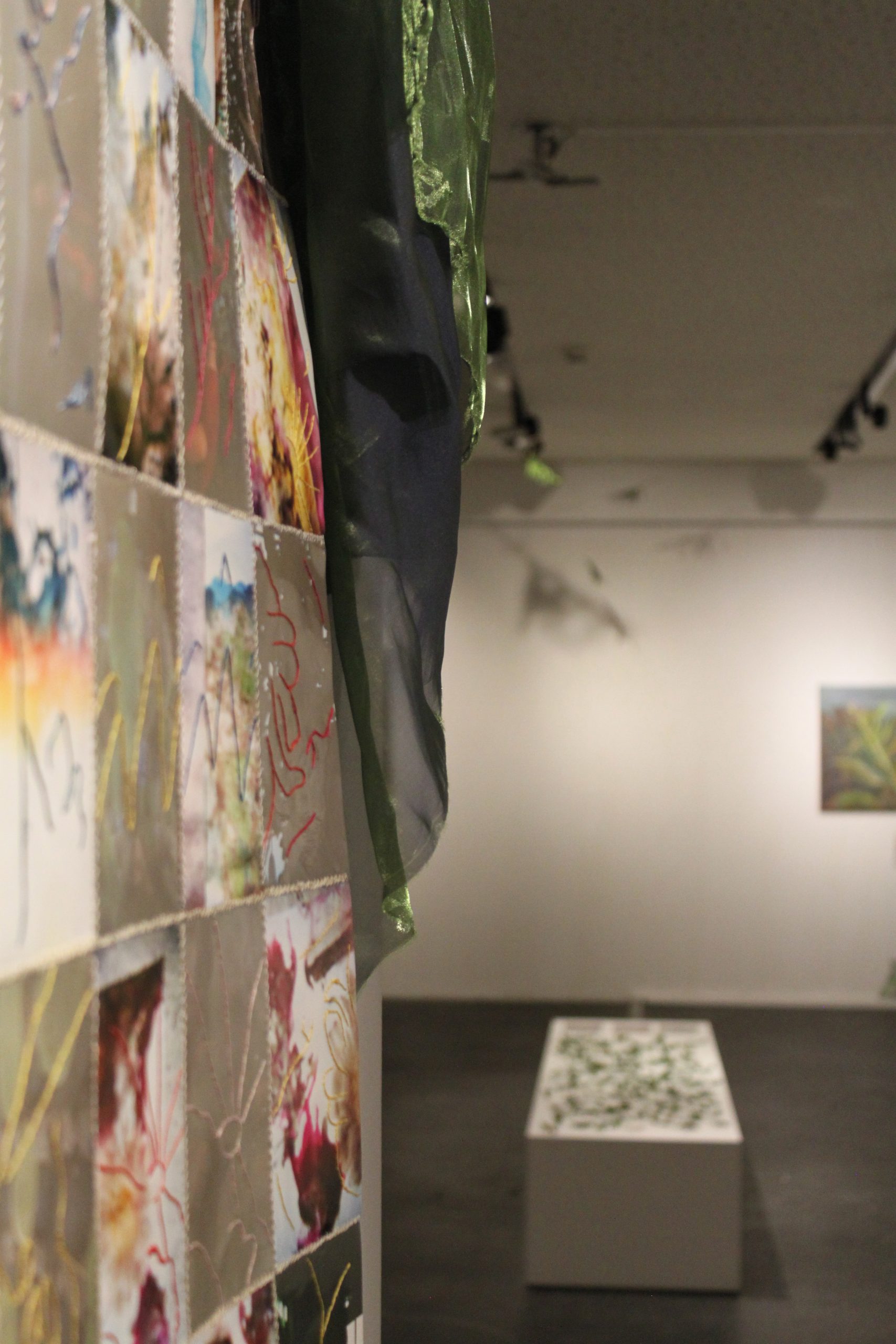 sofia moreno dominguez – creciendo entre grietas – ccr (38)