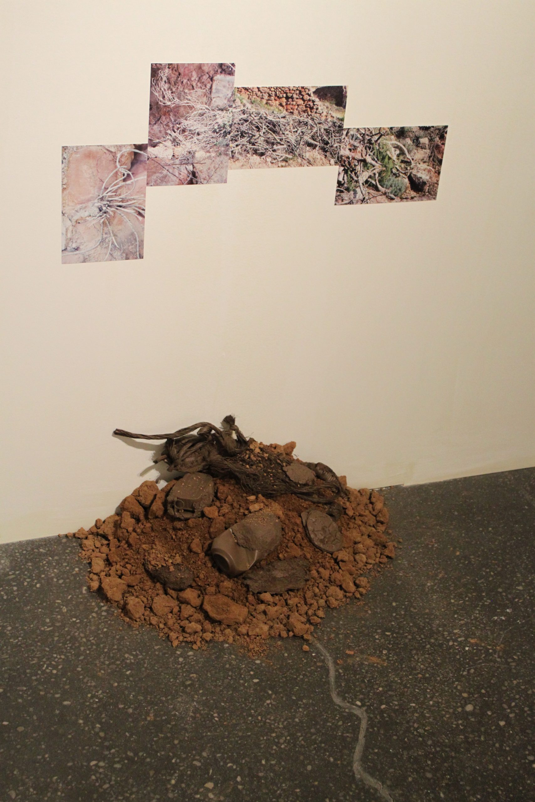 sofia moreno dominguez – creciendo entre grietas – ccr (39)